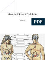 KUIS Praktikum Biomedik 2 (Anatomi Sistem Endokrin)