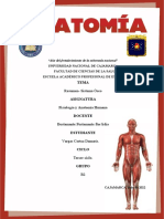 Anatomia