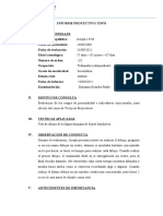 Formato de Informe - Proyectivo TDFH