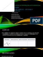 Universidad Nacional Autónoma de Alto Amazonas Aminas