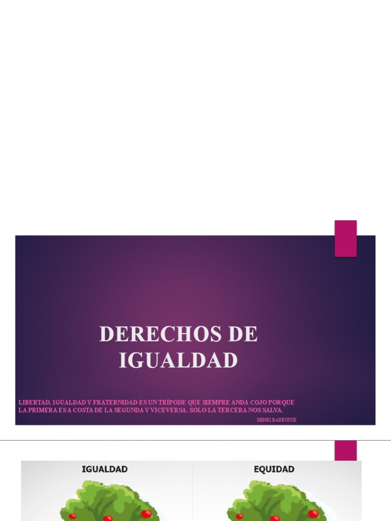 Igualdad y Justicia en Derechos Humanos | PDF