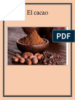 Factores ambientales para el cultivo del cacao