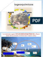 Ciclos Biogeoquimicos-Tema V