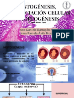 Histogénesis, Diferenciación Celular y Morfogénesis