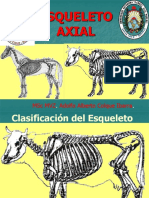 3.3 Osteologia Del Esqueleto Axial