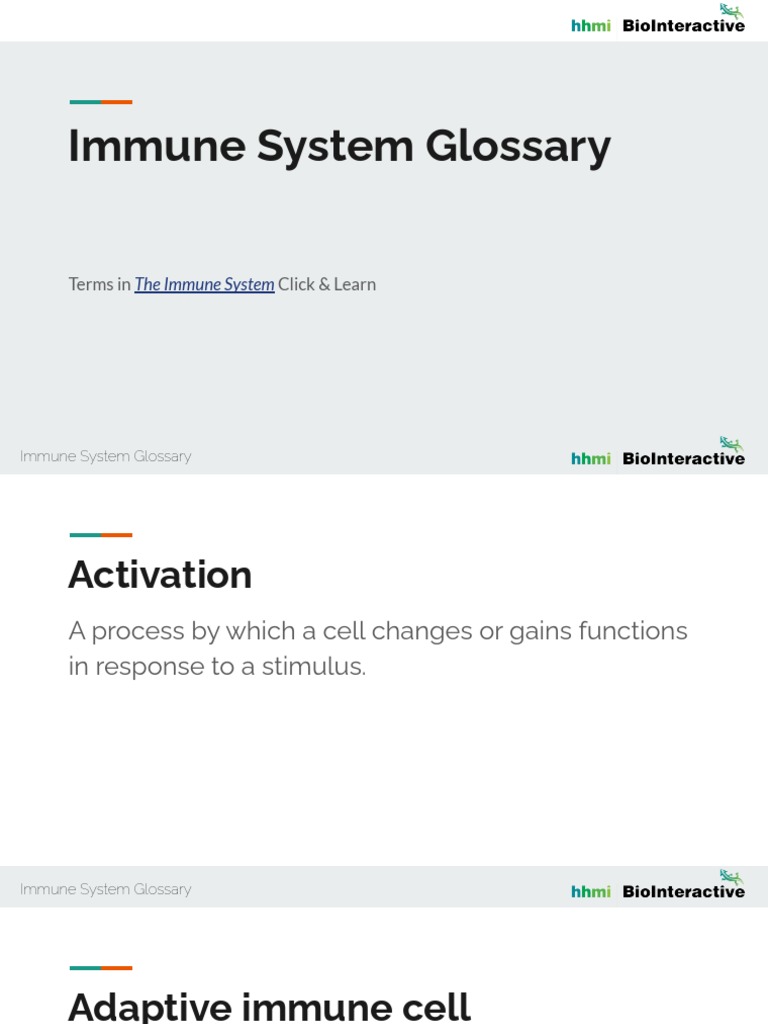 Immune System Glossary PDF Immune System Phagocyte