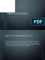 Nervous System