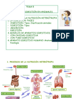 UD 7 Nutrición I Digestión