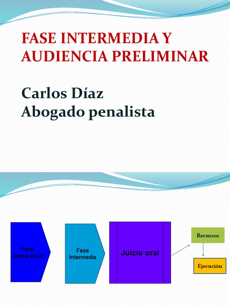 Etapas de la Audiencia Preliminar Penal | PDF | Derecho penal ...