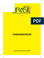 Fundamentacao EFD