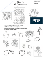 Fisa de Lucru Cunoasterea Mediului - Toamna