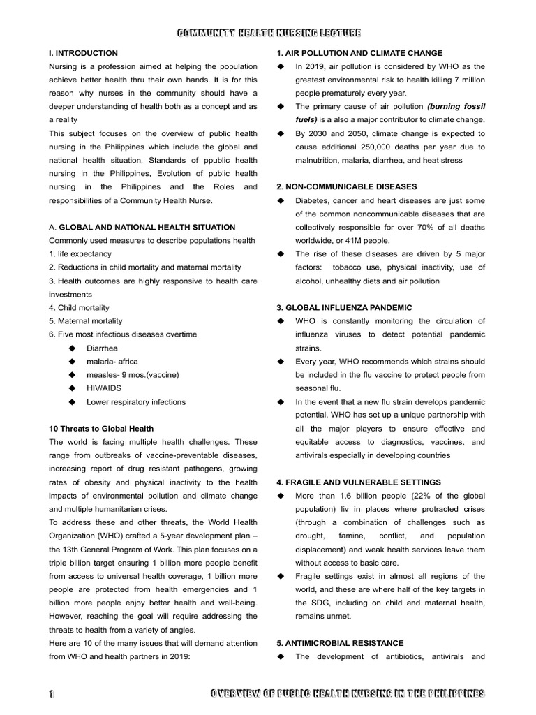 Overview of Public Health Nursing in The Philippines | PDF