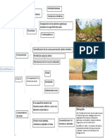 Desertificacion