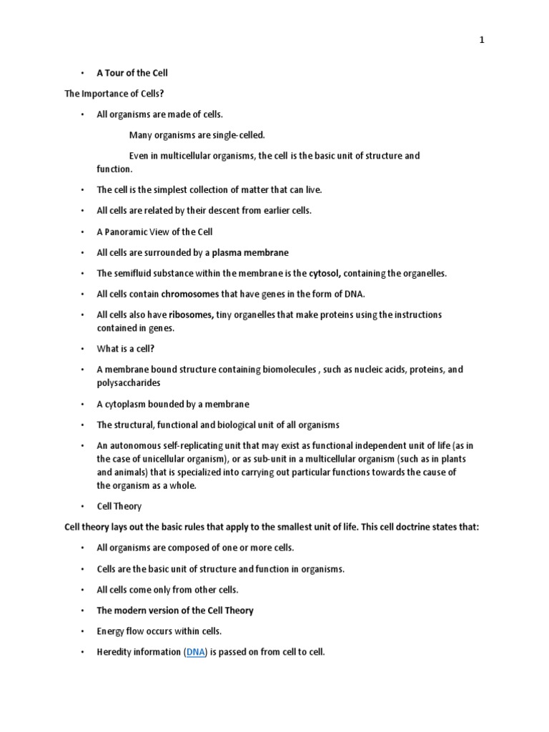 A Tour of The Cell | PDF | Endoplasmic Reticulum | Cell (Biology)
