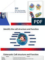 GNBIO1 Summary For Cell Structures and Classifications