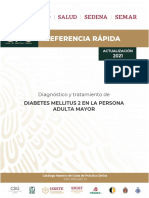 Diagnóstico y Tratamiento de Diabetes Mellitus 2 en La Persona Adulta Mayor GUIA RAPIDA