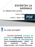 Excreția La Animale