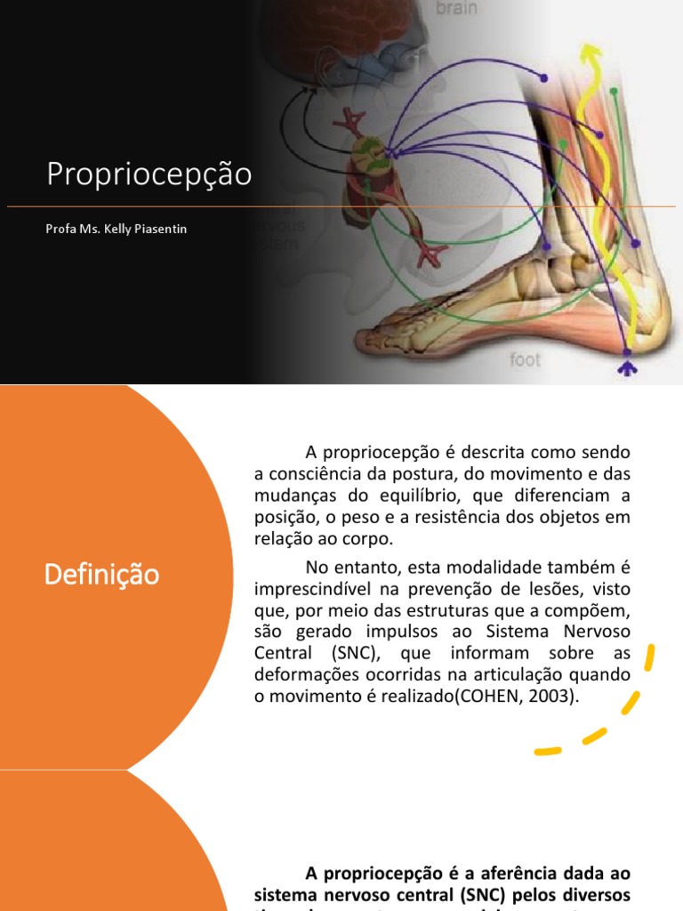 Aula 6 - Propriocepção | PDF | Músculo esquelético | Órgão (anatomia)