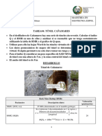 TAREA 4 Calculo de RMR y Q en Túnel Cañamares-1