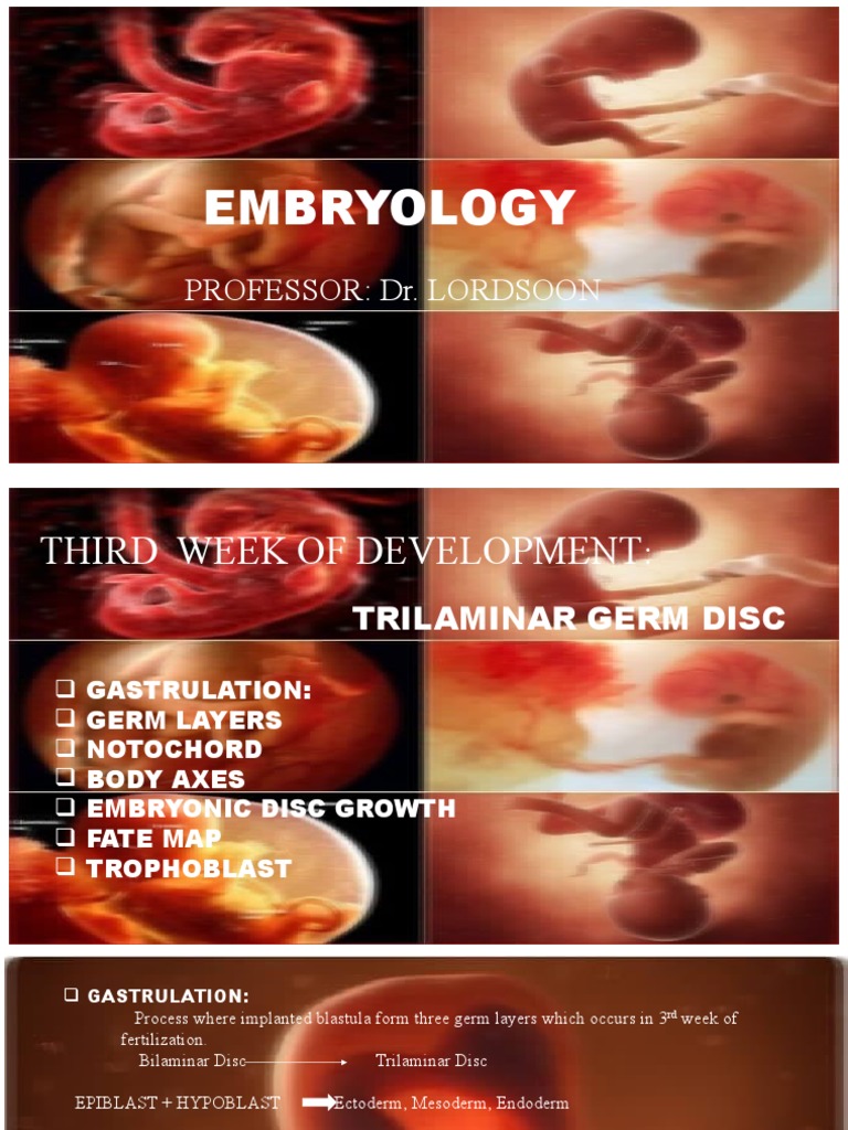 Third Week | PDF | Zoology | Biology