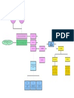 ORPJ-Mapa Conceptual Apartheid 3