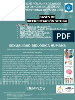 psicologia+de+la+sexualidad++(1)