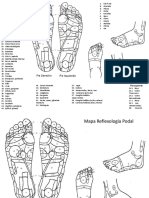 Localizacion de Puntos Reflexologicos