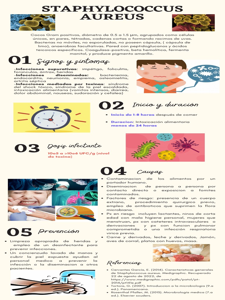 Infografia Staphylococcus Aureus PDF Staphylococcus Aureus