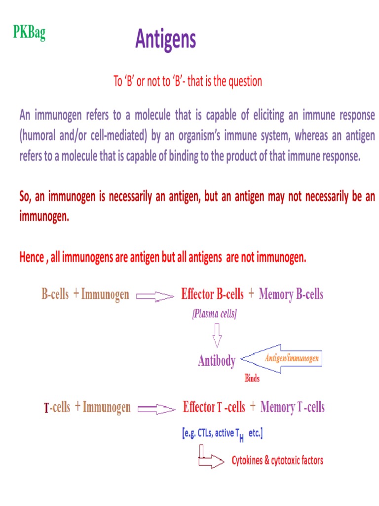 PKBimmunology II Antigens PDF Antigen Epitope