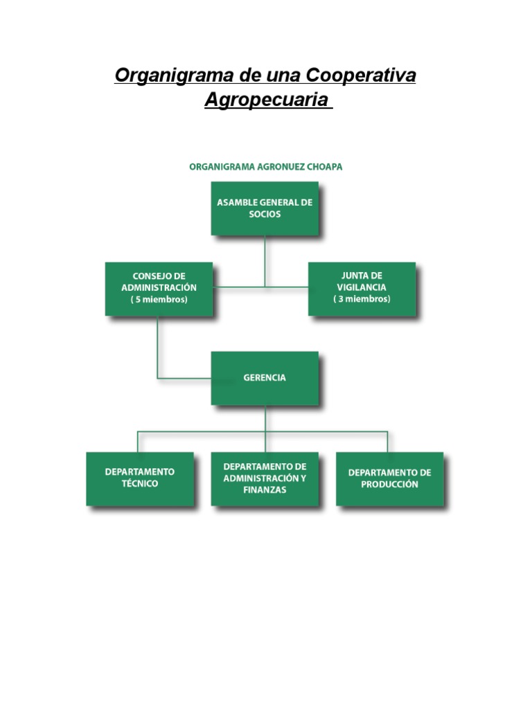 Organigrama de Una Cooperativa Agropecuaria | PDF