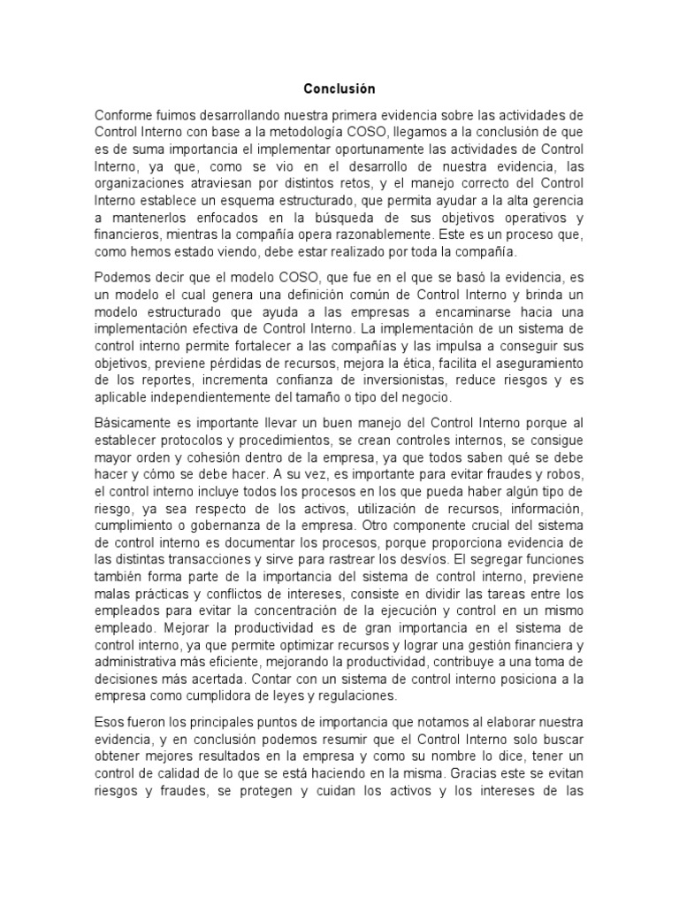 conclusi-n-control-interno-pdf-business-economias