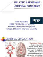 Cerebral Circulation and Cerebrospinal Fluid (CSF)