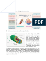 Taller - Parcial 1. Elec. Ciencias de La Tierra