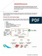 Charla Hemorragias