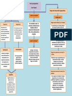 Mapa Conceptual Teoria Psicogenetica