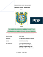 Problemas Ambientales (Principales Problemas Ambientales en La Región) Final