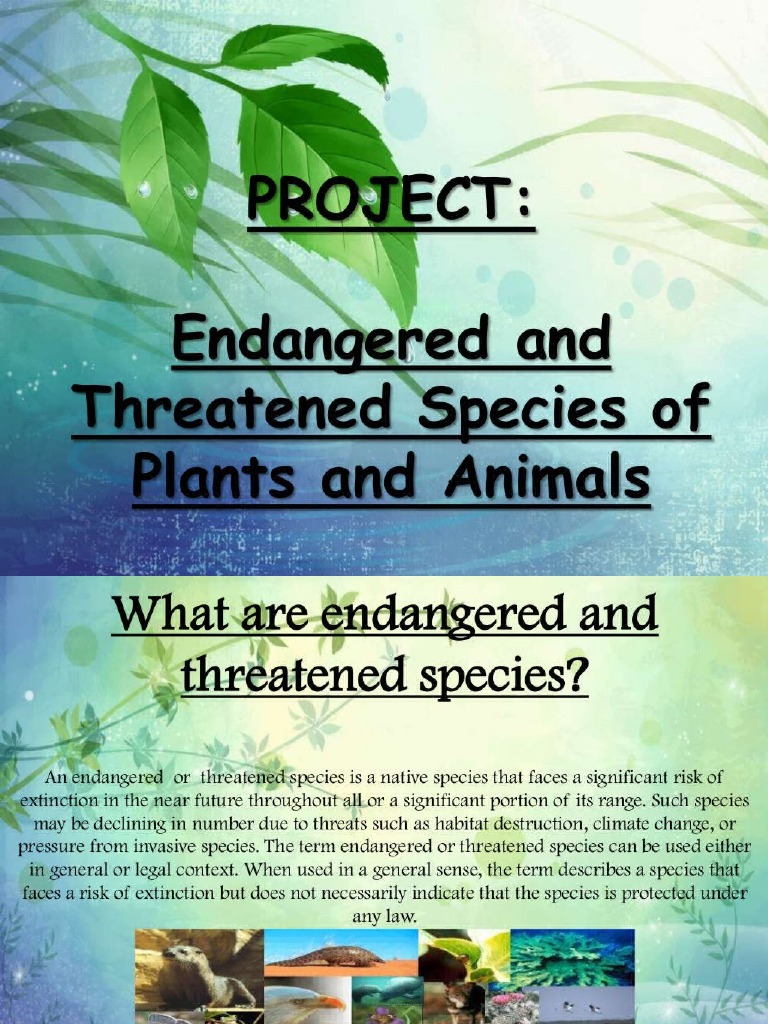 Endangered and Threatened Plants and Animals | PDF