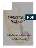 desenvolvimento_embrionario