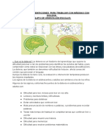 Orientaciones para Dislexia