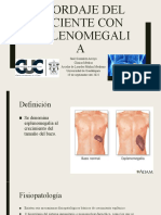 Abordaje Del Paciente Con Esplenomegalia