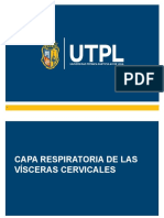 Capa Respiratoria