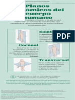 Planos anatómicos del cuerpo humano (Sagital, Coronal y Transversal