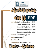 Modulacion Del Dolor