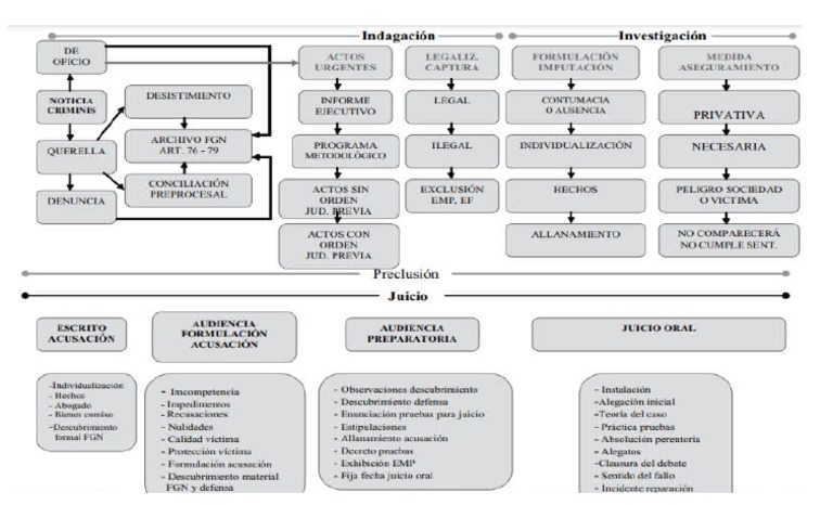 Proceso Penal - Flujograma | PDF