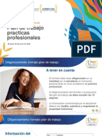Indicaciones Elaboracion Plan de Trabajo Practicas Profesionales_16-04