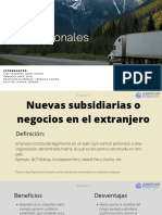 G4. Nuevas Subsidiarias