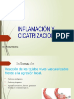 Tema 3 Cicatrizacion-e-Inflamacion DR - Medina