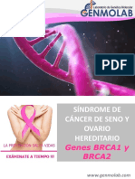 Brochure Brca