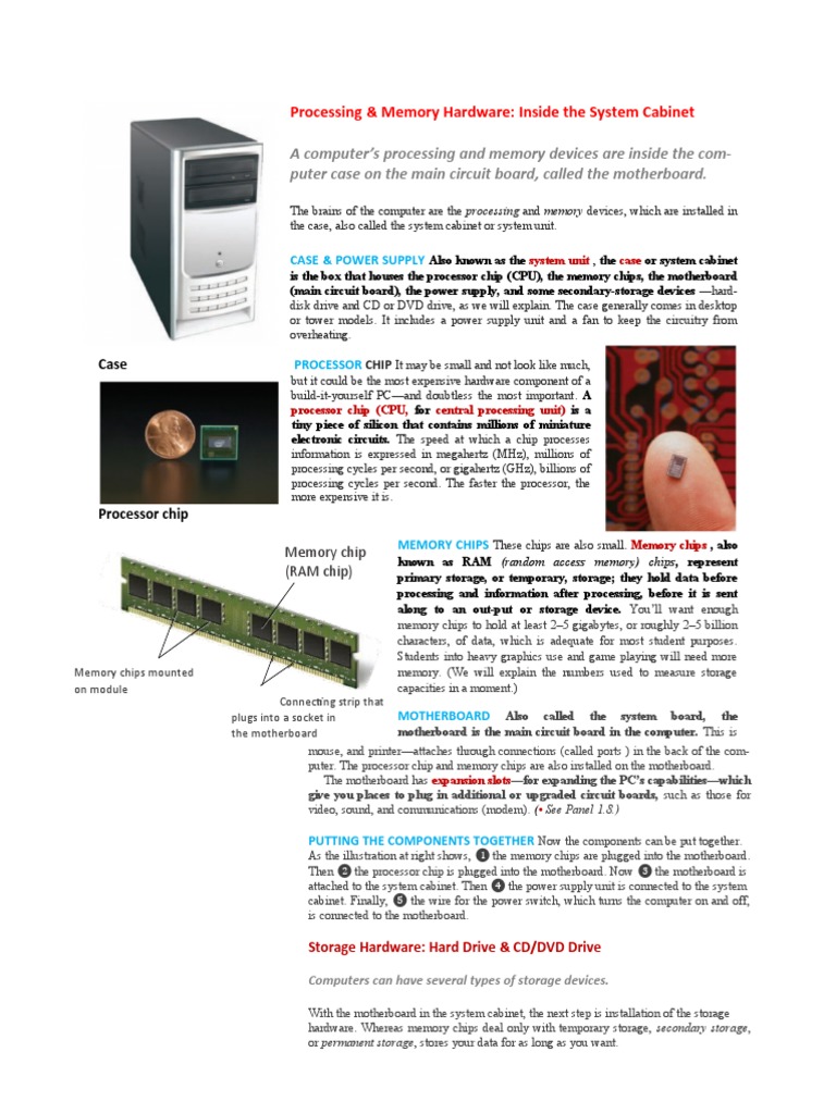 Processor | PDF | Computer Hardware | Computer Data Storage