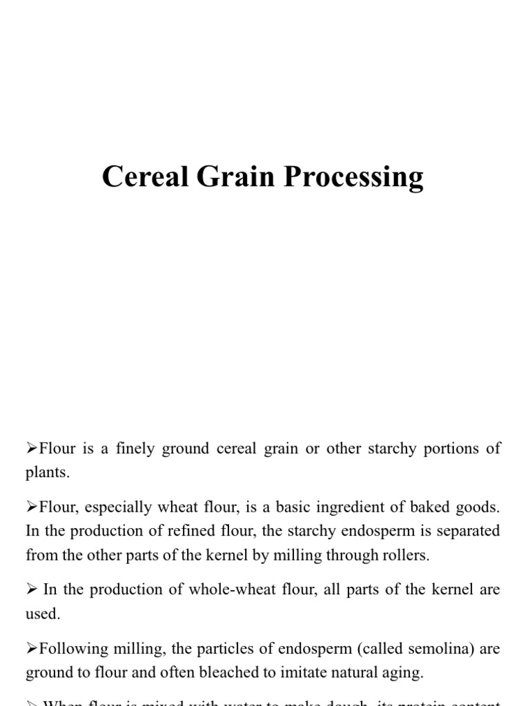 Cereal Grain Processing Class Lecture PDF Flour Cereals